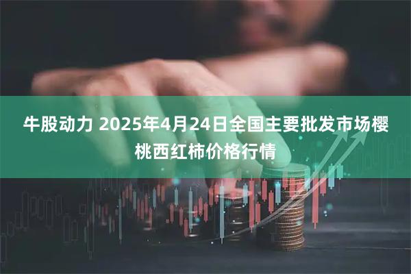牛股动力 2025年4月24日全国主要批发市场樱桃西红柿价格行情
