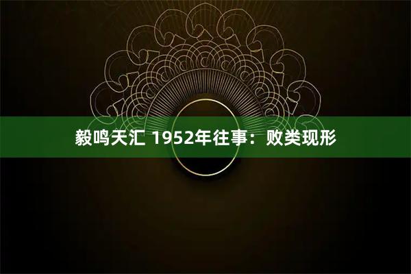 毅鸣天汇 1952年往事：败类现形