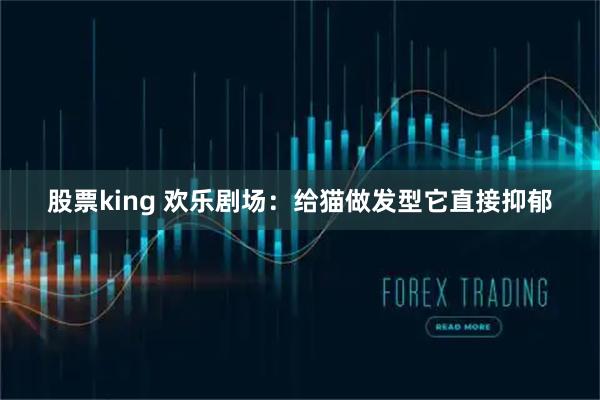 股票king 欢乐剧场：给猫做发型它直接抑郁